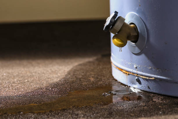 Best Mold removal after water damage  in Balch Springs, TX