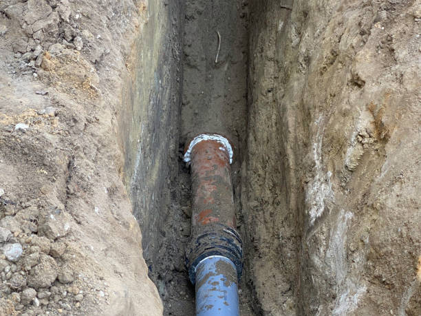 Best Professional water damage repair  in Balch Springs, TX