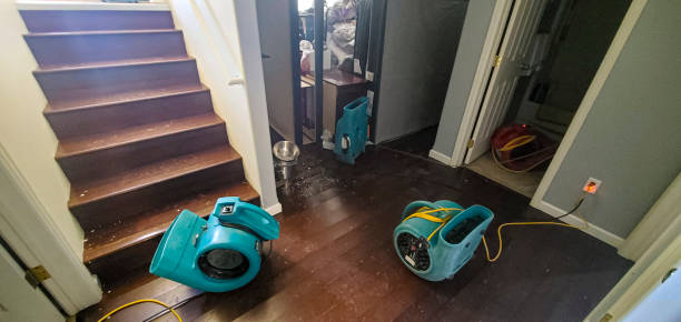 Best Water damage contractors near me  in Balch Springs, TX