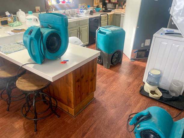 Best Commercial water damage restoration  in Balch Springs, TX