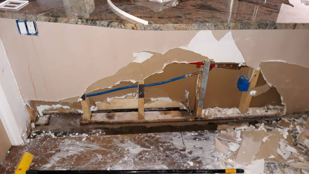 Best Basement water damage restoration  in Balch Springs, TX