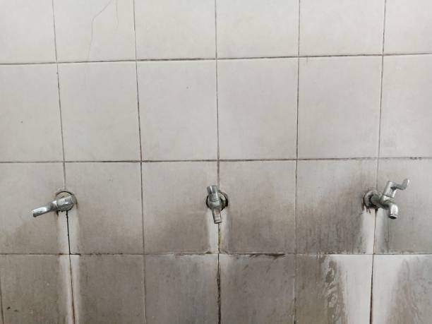 Best Water damage cleanup near me  in Balch Springs, TX