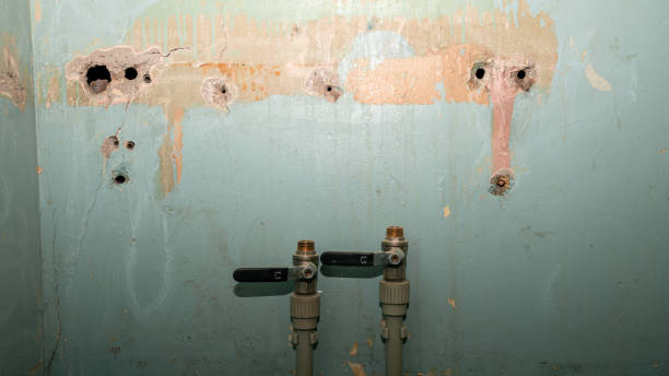 Best Flood restoration services  in Balch Springs, TX