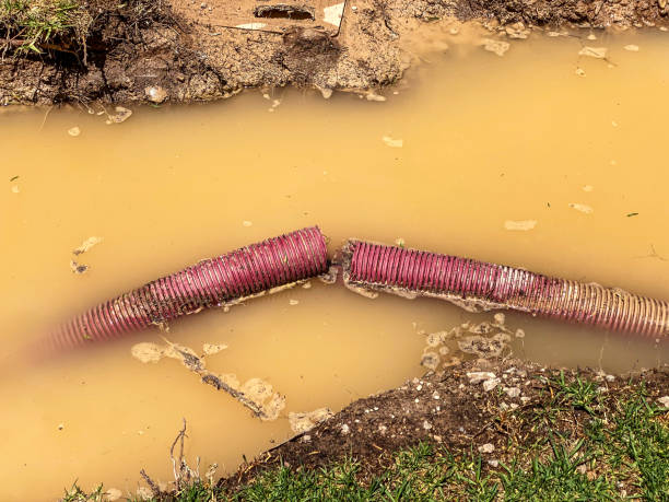 Best Emergency water damage restoration  in Balch Springs, TX