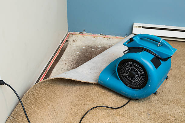 Best Water damage restoration insurance claims  in Balch Springs, TX